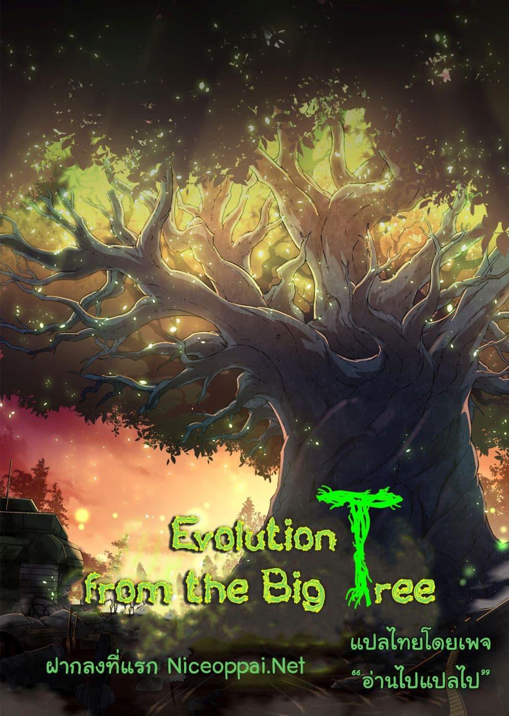 Evolution from the Big Tree 242 37