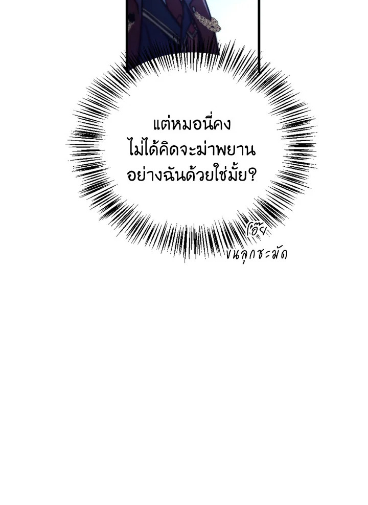 Regressor Instruction Manual 99 069